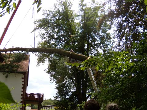Nach einem Sturm entlasten wir ein Dach von einem ungestürzten Baum